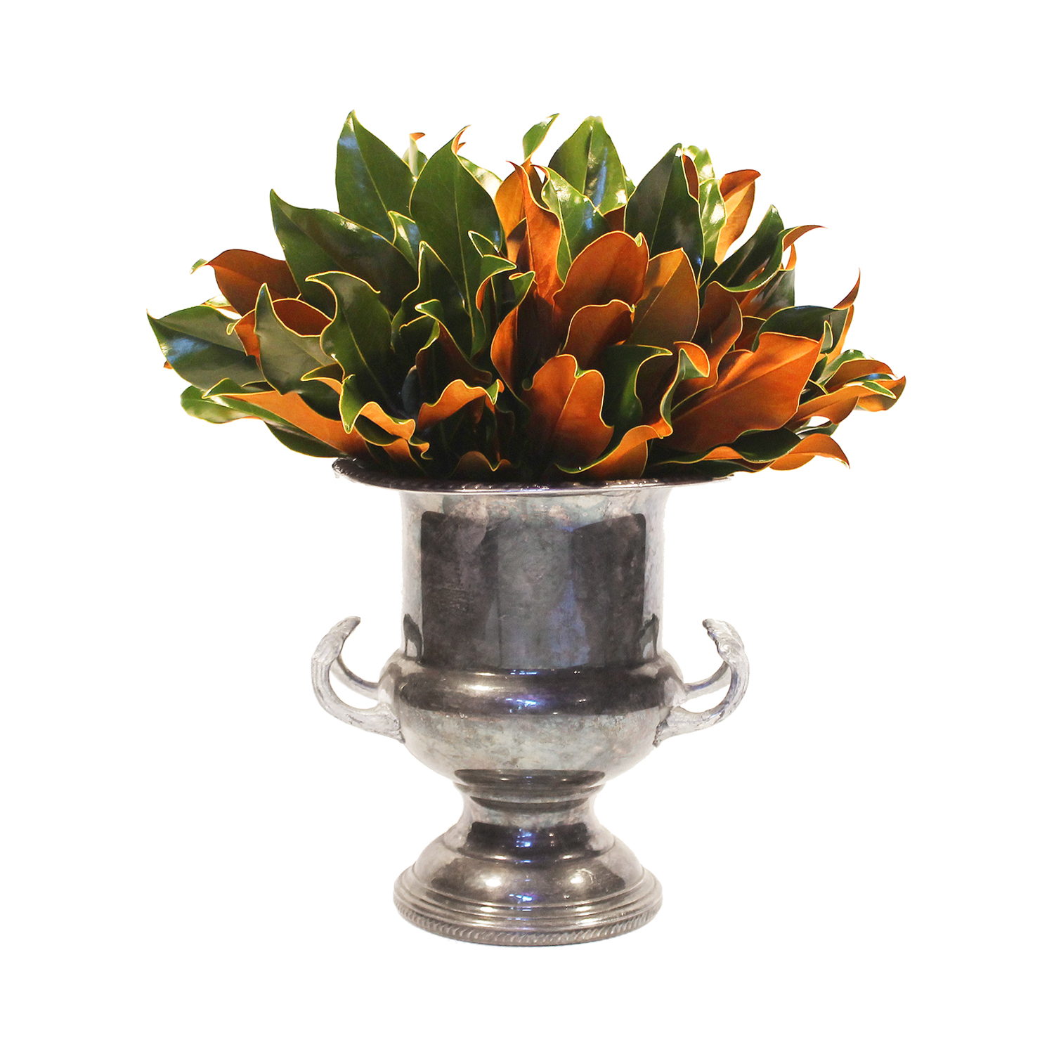 Weston Farms Magnolia 12" Bouquets - Set of 8