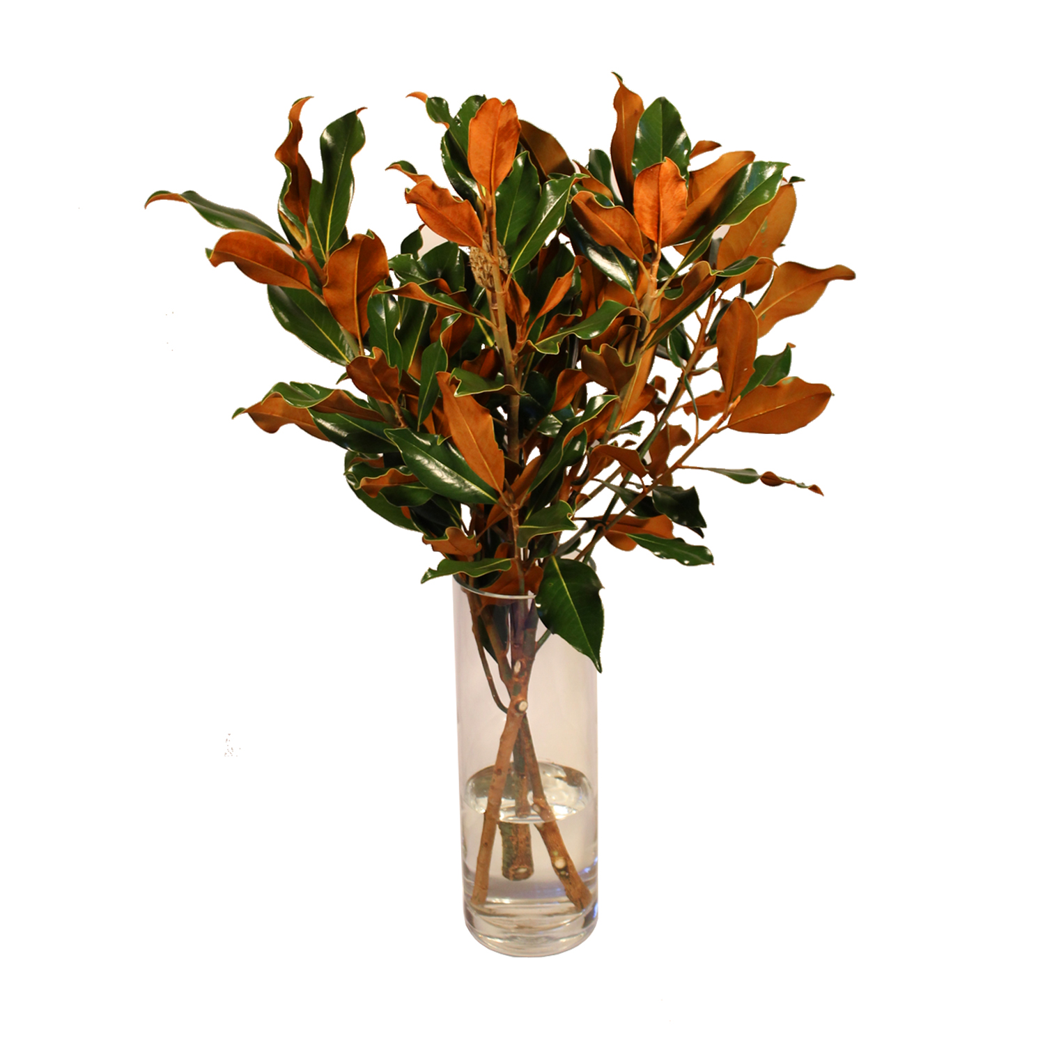 Classic Parris 36" Bouquet