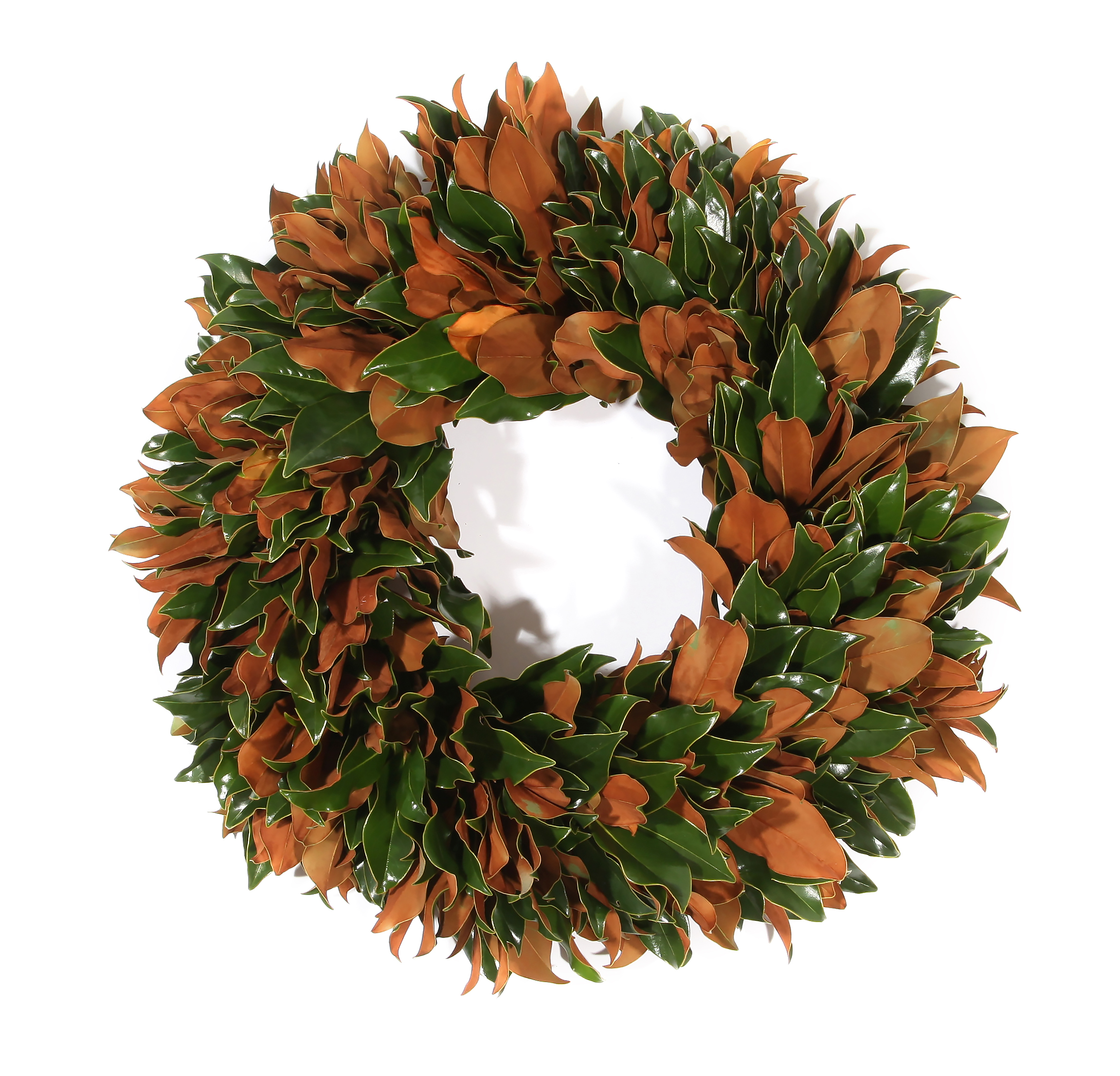 Classic Parris 22" Wreath