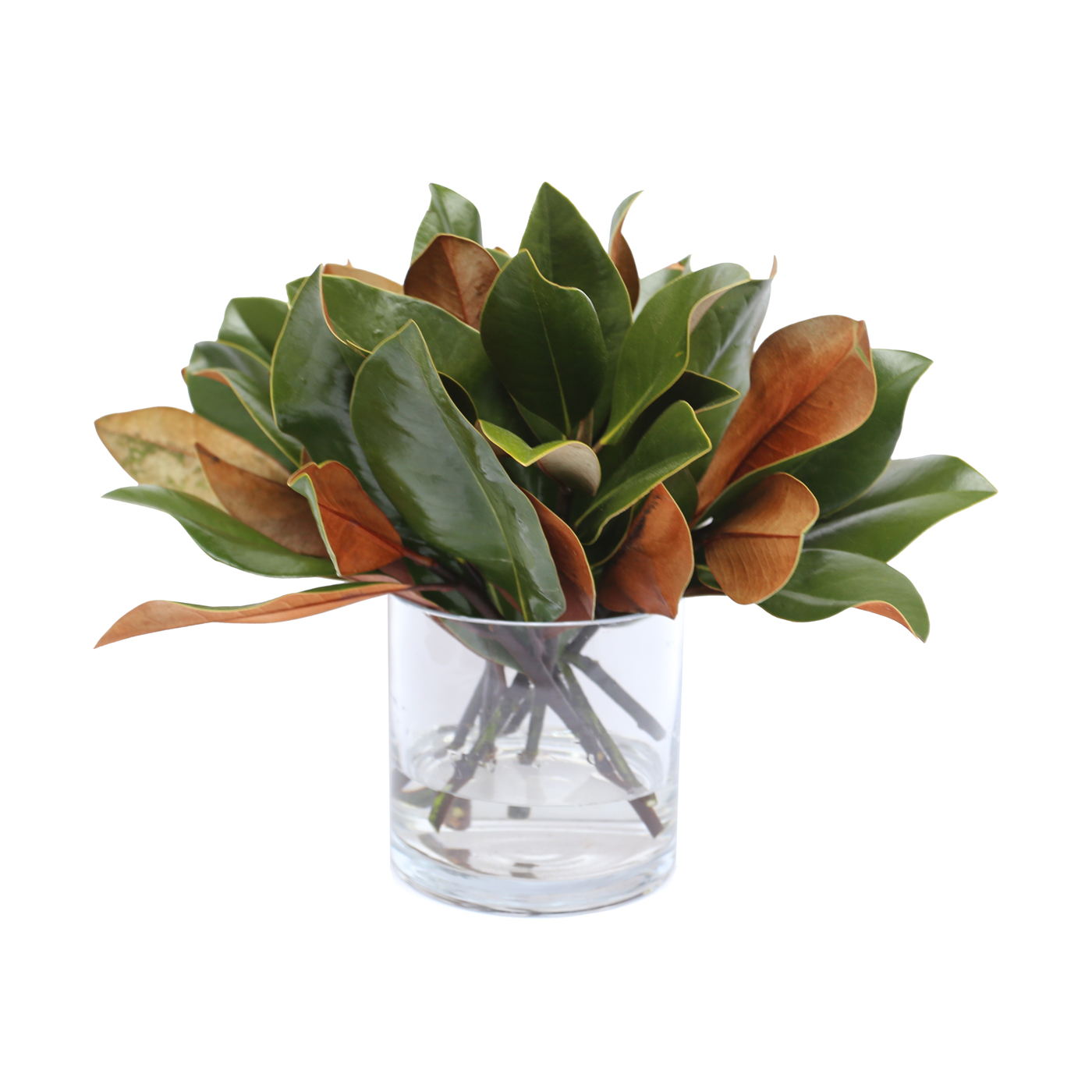 Brown Velvet 14" Bouquet