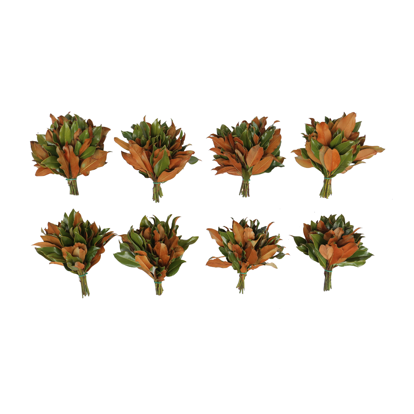 Classic Parris Mini Bouquets