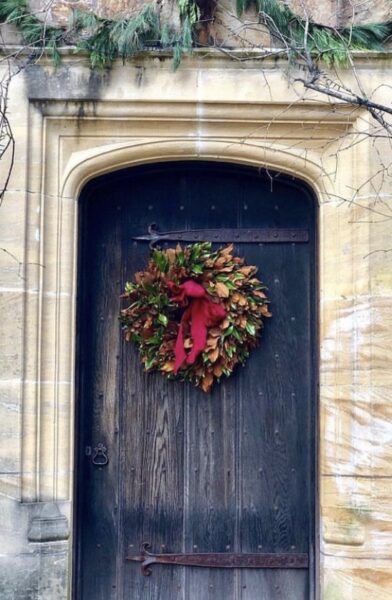 Weston Farms Magnolia 22" Wreath