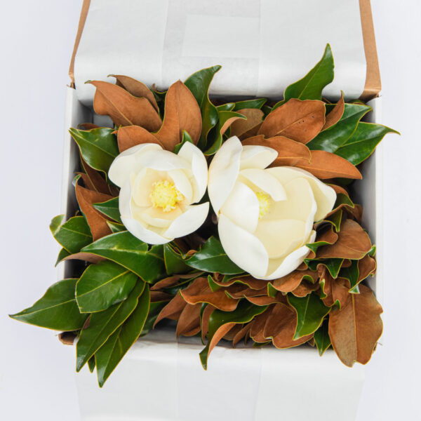 FLOWER BOX｜Nicolai Bergmann