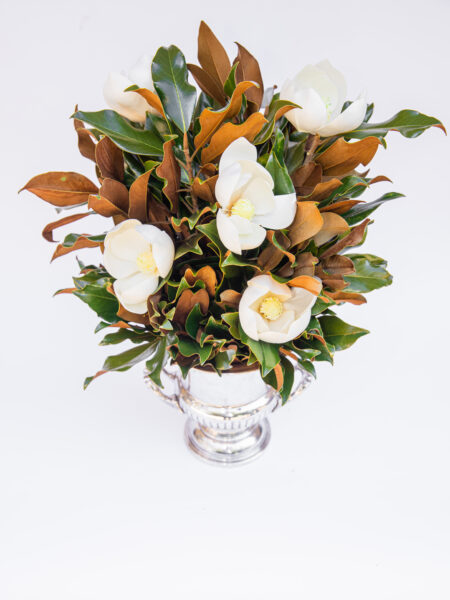 Blooming Mini Bouquets