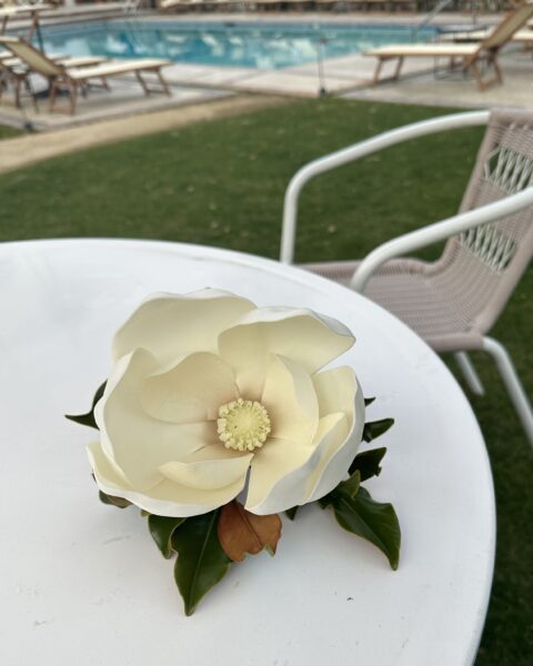 Lay Flat Bloom